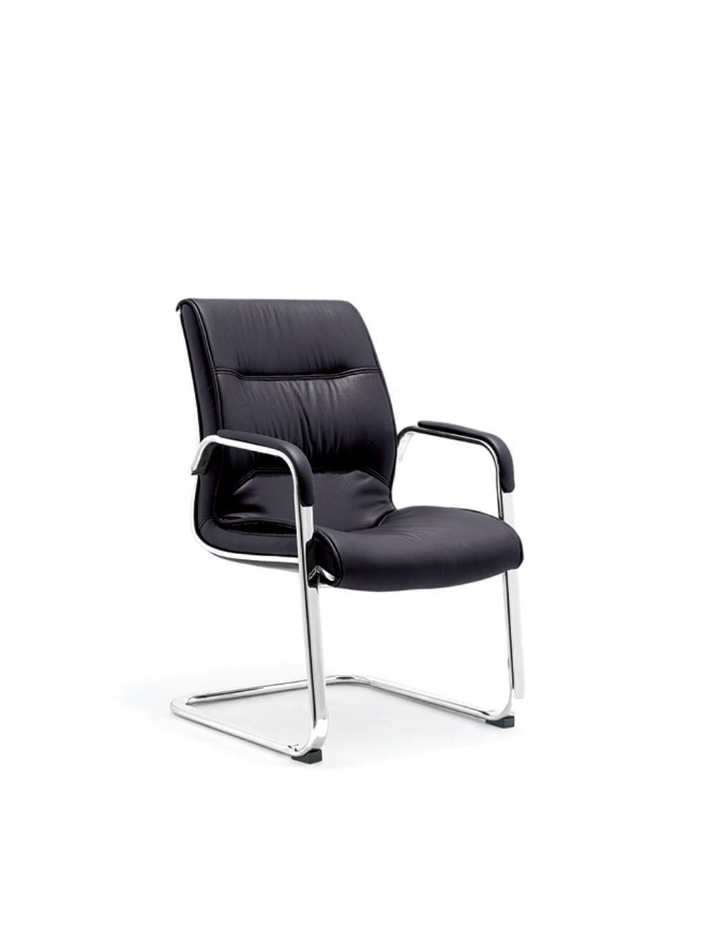 Ƥ����Ch-113C