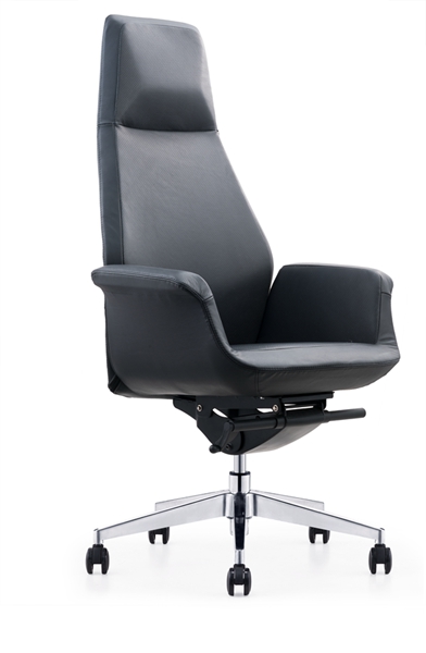 Ƥ����CH-241A �� (2)