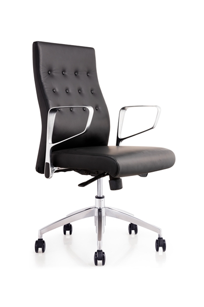 Ƥ����CH-217B �� (2)