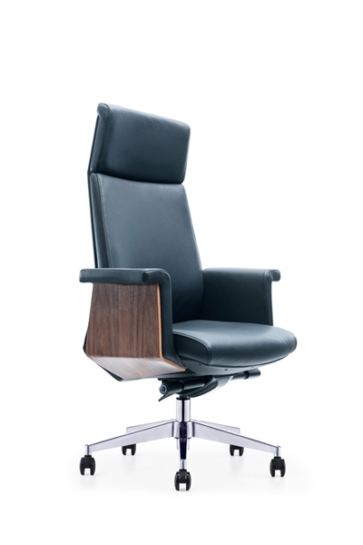 Ƥ����CH-250A