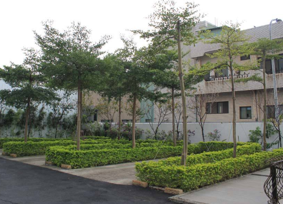 ��˾�L(f��ng)��-02